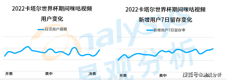 世界杯皇冠平台_阿根廷夺冠梅西加冕世界杯皇冠平台，球场外视频平台角逐世界杯