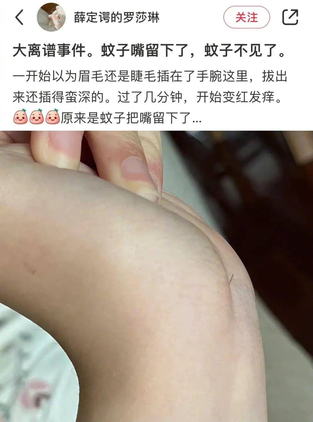 正版皇冠信用网出租_无意发现自己老师正版皇冠信用网出租，在大街上捡东西吃？网友：尴尬到脚指扣地哈哈