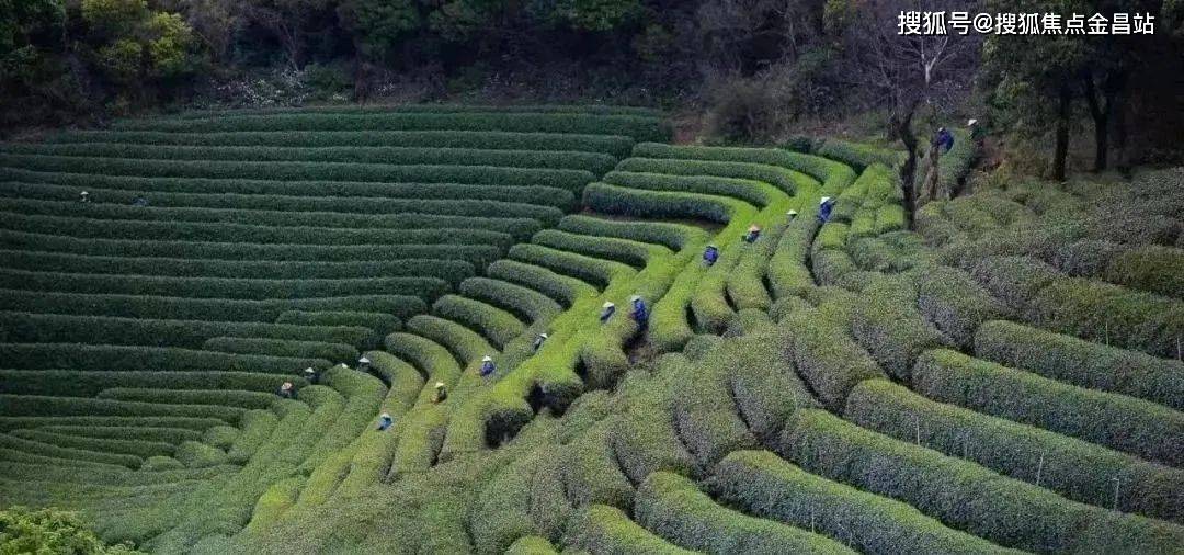 皇冠信用网最新地址_杭州绿城龙坞茗筑售楼处电话_售楼处地址!最新详情/地址/户型/折扣价