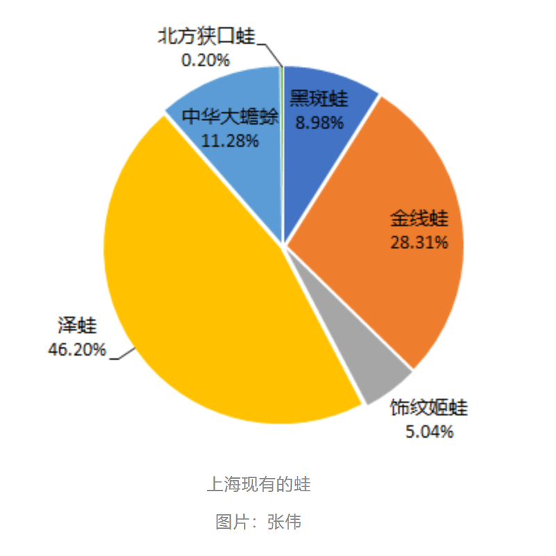 皇冠会员如何申请_曾经遍地的“田鸡”十几年看不到一只皇冠会员如何申请，国家二级保护动物正拼命回归