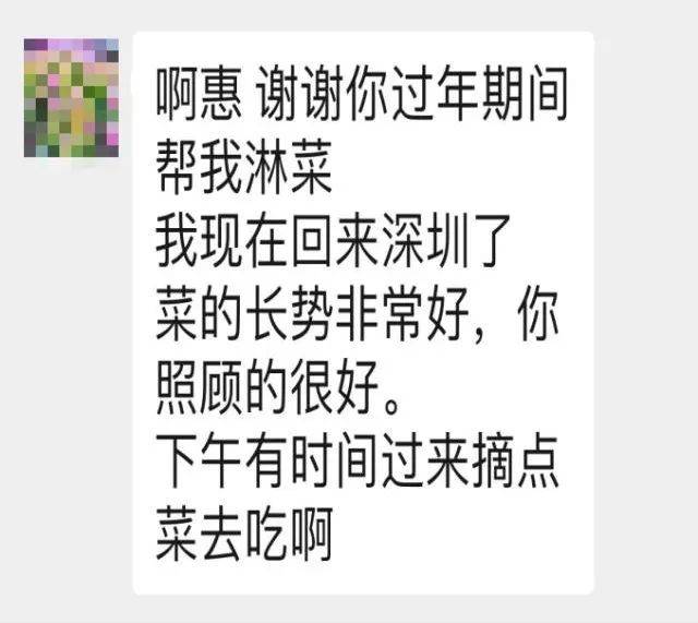 皇冠信用网出租代理_深圳一市民回乡皇冠信用网出租代理，菜地无人打理，网格员：放心回去过年