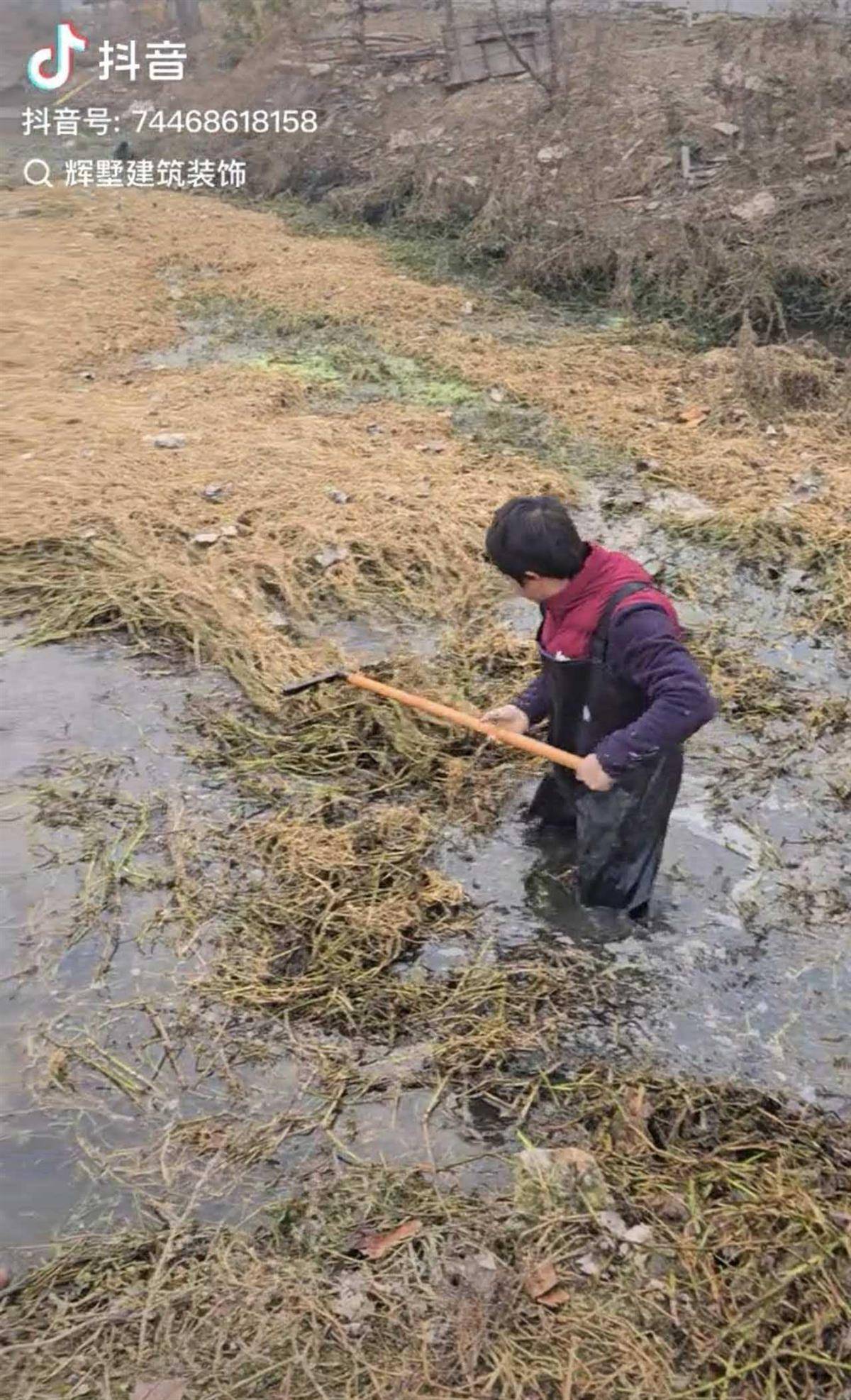 斯托克城vs西布朗_大鹅主人抽水追凶最新进展来了：深刨半米淤泥啥也不见斯托克城vs西布朗，或因厚草盖顶溺亡