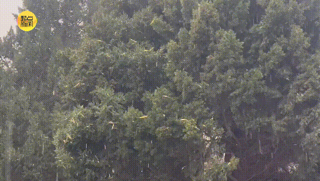 王者榮耀電競比分_小到中雪王者榮耀電競比分，局地大雪、暴雪！刚刚，西安发布暴雪预警！