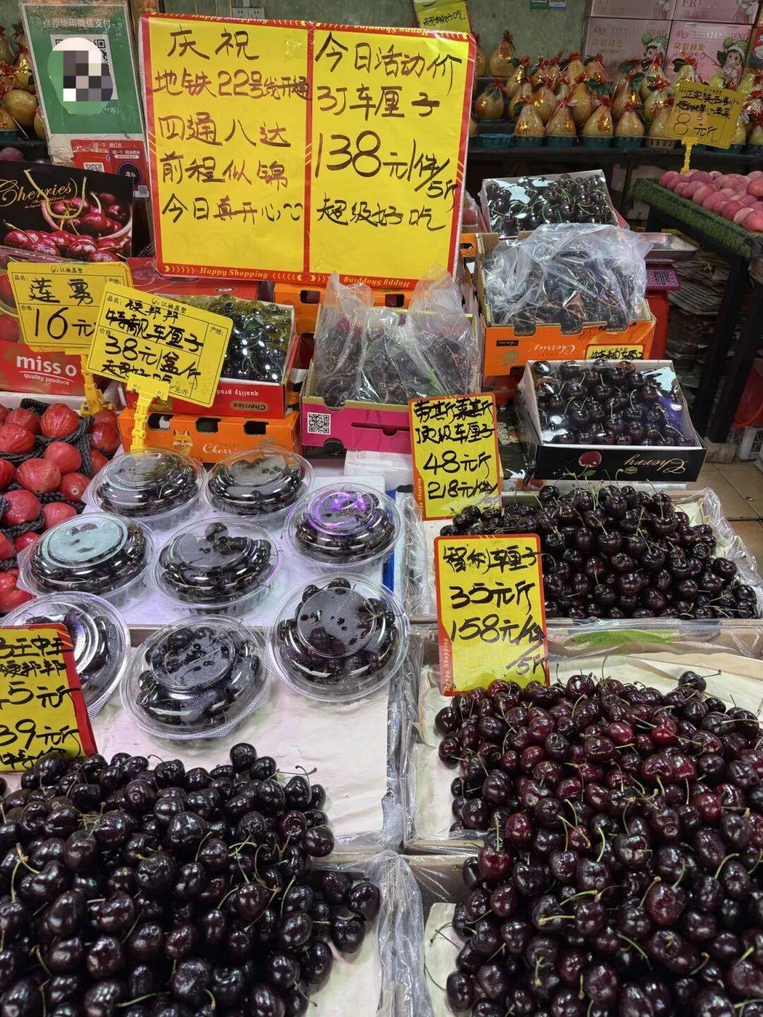 江原vs全北现代
_价格腰斩!广州正大量上市江原vs全北现代
,商家:还能降