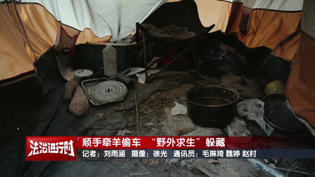 维塞乌U23 vs雷克斯欧斯U23_北京警方刑拘1名“荒野求生”爱好者