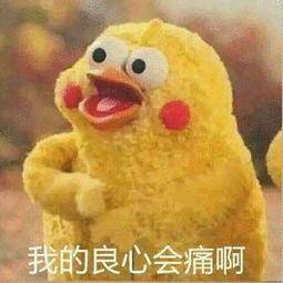 五大联赛开始_一个鸡缸杯拍了2.8个亿？！那我拿出20个五大联赛开始，阁下又当如何应对？