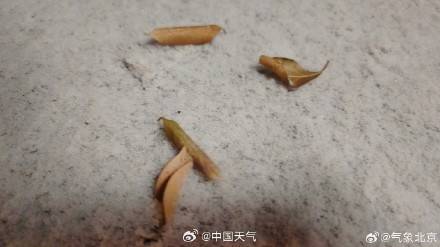 皇冠信用平台出租出售_北京降雪如约而至 今天大部地区仍有雪