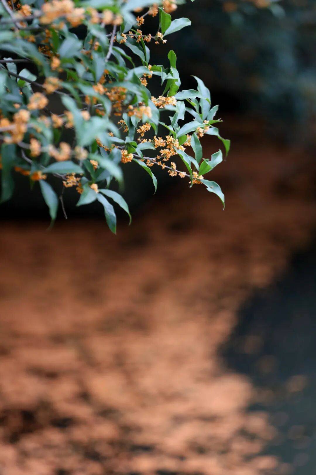 皇冠信用网在线申请_进度达70%!杭州即将进入全盛期皇冠信用网在线申请,别错过!