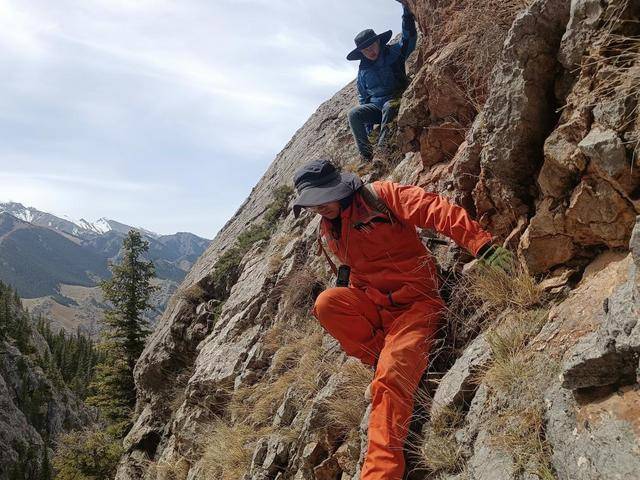 皇冠信用需要押金吗_全国找金最多的地质队皇冠信用需要押金吗!已查明金资源量2810余吨