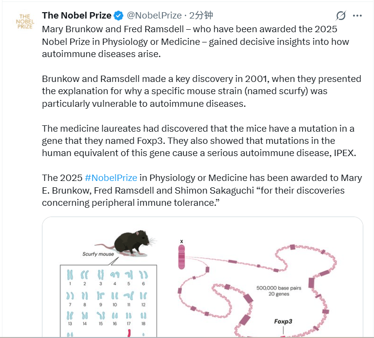 皇冠信用网如何申请_2025诺贝尔医学奖揭晓:表彰“关于外周免疫耐受的发现”皇冠信用网如何申请,三位科学家共享殊荣