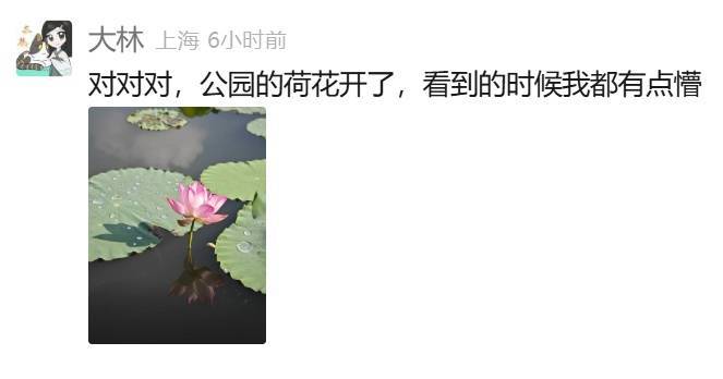 皇冠信用网登123出租_上海:节后气温将冲高至33℃!今夏已长达150天皇冠信用网登123出租,玉兰蔷薇樱花荷花全开了……