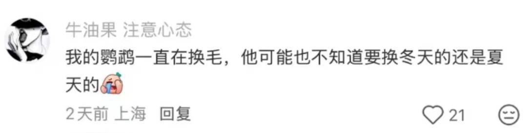 皇冠信用网登123出租_上海:节后气温将冲高至33℃!今夏已长达150天皇冠信用网登123出租,玉兰蔷薇樱花荷花全开了……