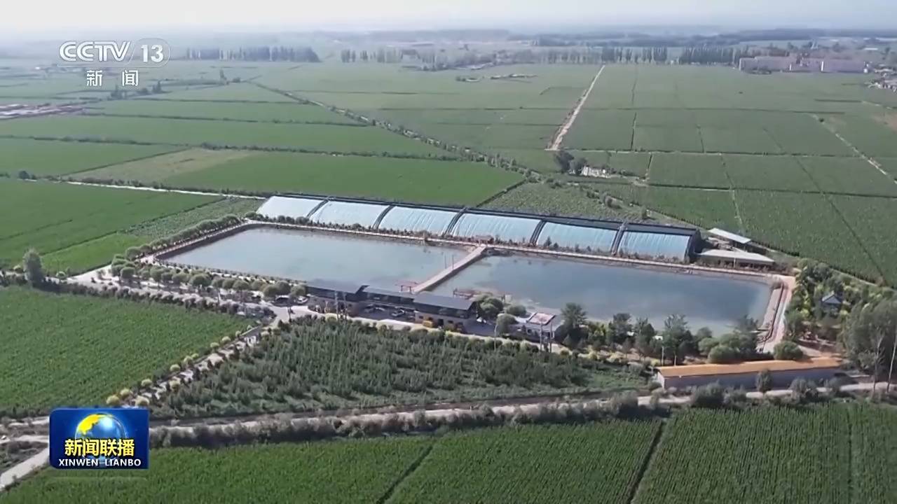 皇冠信用盘登_新思想引领新征程丨绘就乡村全面振兴壮美画卷