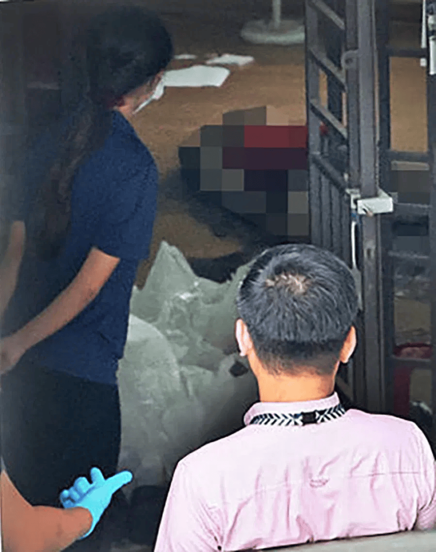 如何代理皇冠信用_新加坡现双尸案:父亲成白骨如何代理皇冠信用,剑桥博士女儿疑饿死,一家来自东北