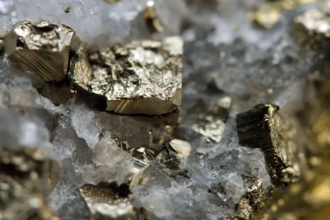 比利时vs北马其顿
_刘和平:你不卖面包我就不卖面粉比利时vs北马其顿
!中国吹响贸易战全面大反攻号角!