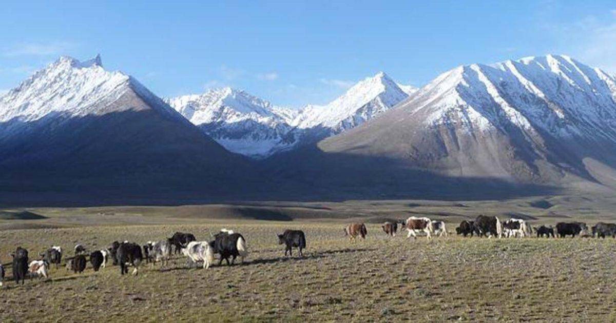 皇冠信用网如何申请
_与巴铁开打后皇冠信用网如何申请
,阿富汗投了印度:中国家门口的瓦罕走廊,被人盯上