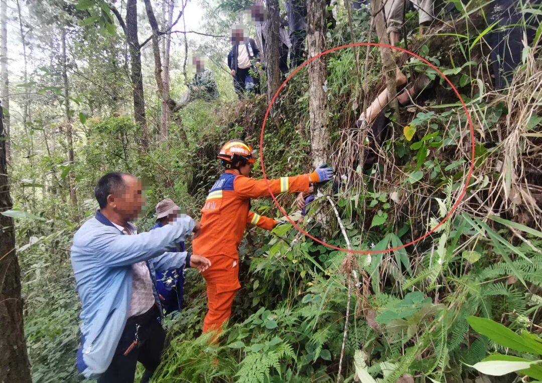 皇冠登3新2管理
_93岁老人进山失联皇冠登3新2管理
,两天后发现他倒挂在树杈上苦撑……