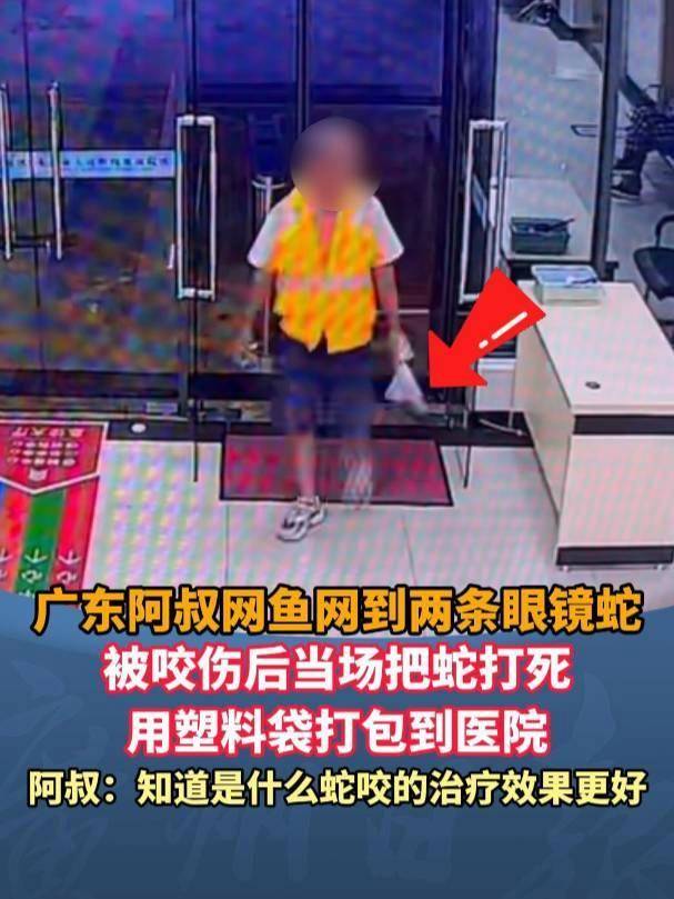 皇冠信用網需要押金吗
_广东62岁阿叔网鱼网到2条眼镜蛇皇冠信用網需要押金吗
,被咬伤后当场打死,并打包提进医院