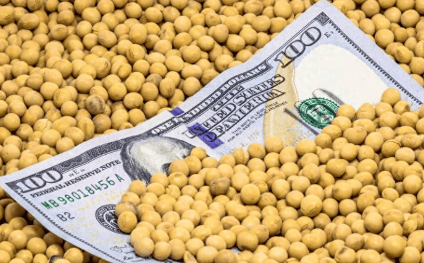 皇冠信用網代理
_特朗普紧急发文皇冠信用網代理
,对中国已做好最坏打算,或禁买中国食用油?提醒忠实盟友牢牢记住一点