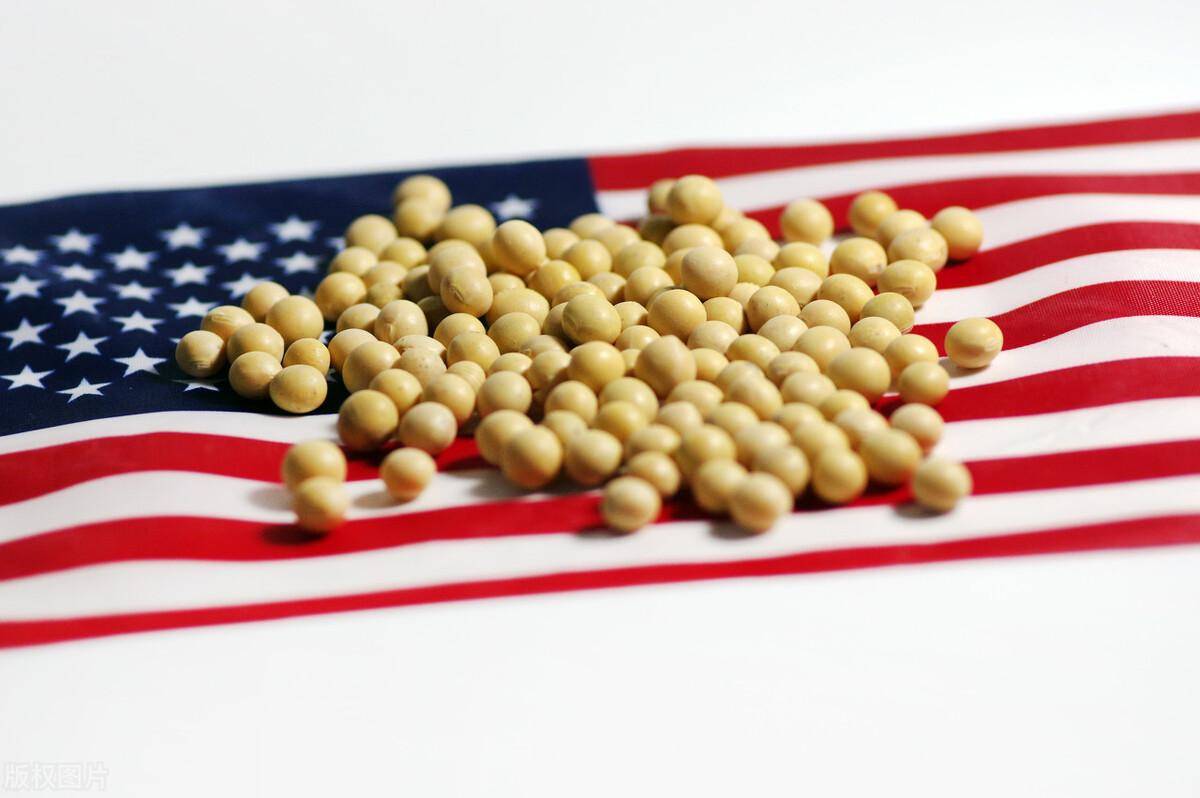 足球盘口出租
_43万吨美国大豆将运往中国足球盘口出租
,贝森特放话:下周签协议,中国将买1200万吨大豆!