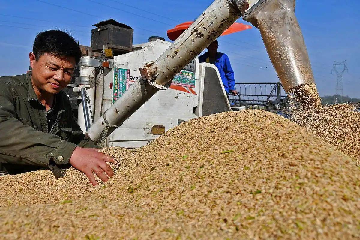 登1登2登3信用盘
_200万吨大豆烂港!巴西主动降价登1登2登3信用盘
,中国转头下单三船美国大豆,巴西自食其果了