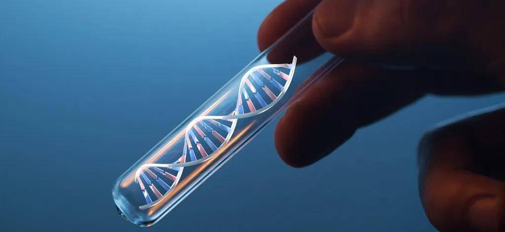 世界杯平台代理
_医生偷用自己的精子“助孕”世界杯平台代理
,死后查出12个子女