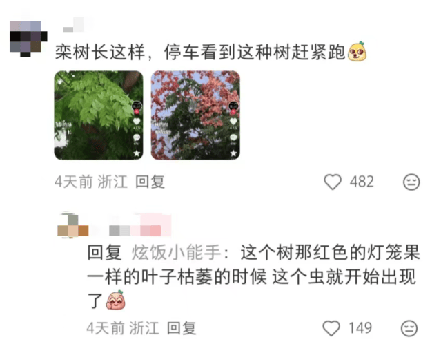 皇冠会员如何申请
_汽车被虫子啃得都是窟窿皇冠会员如何申请
，“一边咬一边往里钻”！很多人中招