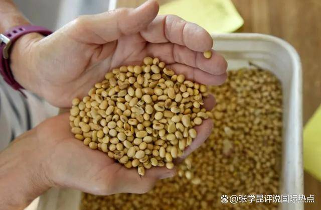 正版皇冠信用网开户
_48小时内正版皇冠信用网开户
，中方连下3令，特朗普别高兴太早，承诺一个都不能少