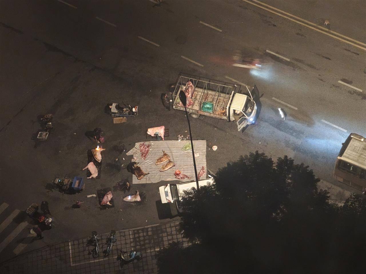 皇冠信用网登2代理
_成都街头凌晨惊现“流动猪肉摊”皇冠信用网登2代理
,一群人在路边地上剁猪肉为摊贩供货,当地回应