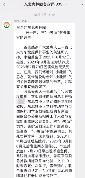皇冠信用盘开户
_女子花2000余元认养东北虎2年却被隐瞒死讯 当事人称园方未主动反馈情况皇冠信用盘开户
，认为死因存疑