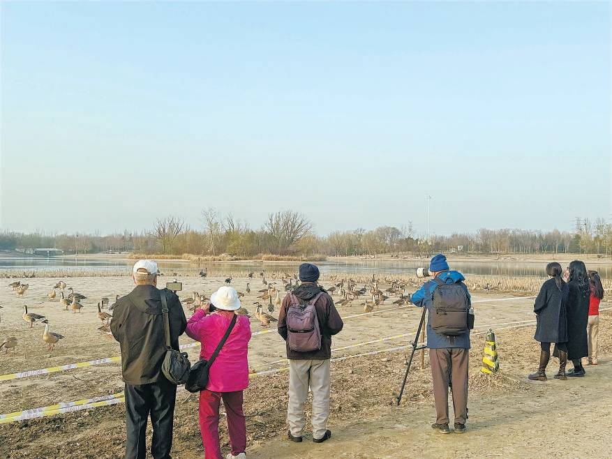 皇冠信用网需要押金吗
_“大姐皇冠信用网需要押金吗
，再喂它们就走不了了！”