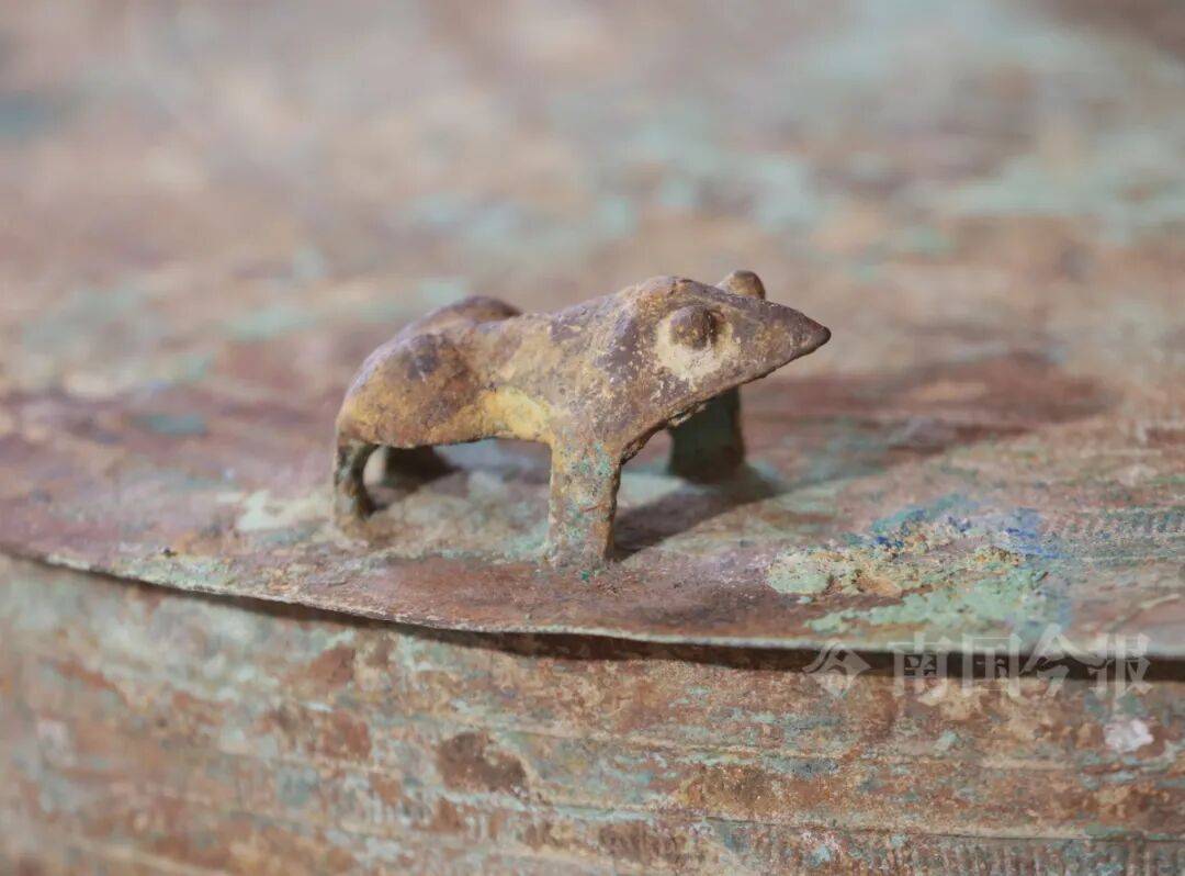 皇冠信用网登3代理
_柳州钓鱼阿叔竹林挖蚯蚓皇冠信用网登3代理
，竟挖出千年前的“大宝贝”！