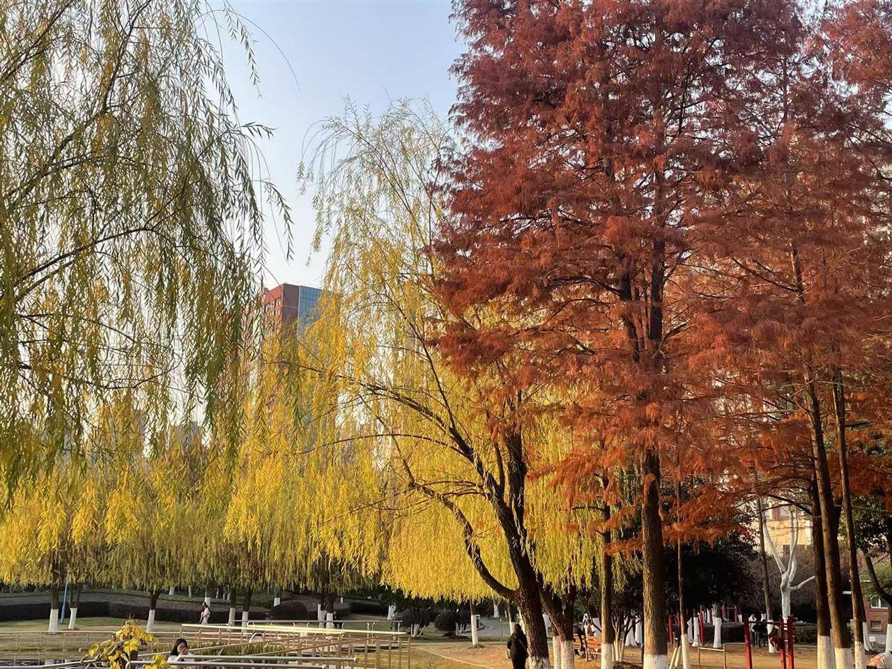 伊斯托里尔 vs AVS
_破纪录!武汉人度过65年来12月中旬最暖的一天!今晚起气温满20-10伊斯托里尔 vs AVS
,今冬最冷时段即到!