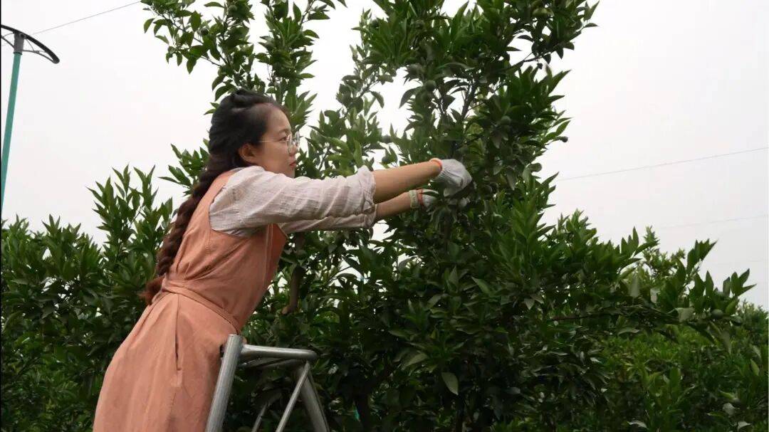 皇冠信用网出租足球_考研失败、工作失业皇冠信用网出租足球,95后情侣回成都换赛道火了,全网追着买!她说:不是爽文逆袭