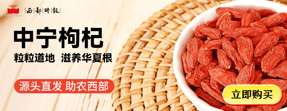 世界杯皇冠代理平台_贪慕虚荣、追求享乐、对家属失管失教世界杯皇冠代理平台！内蒙古自治区政府原主席王莉霞被“双开”