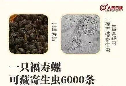 皇冠信用网登123出租_别吃！寄生虫多达6000条皇冠信用网登123出租，近期正大量出现，严重可致死