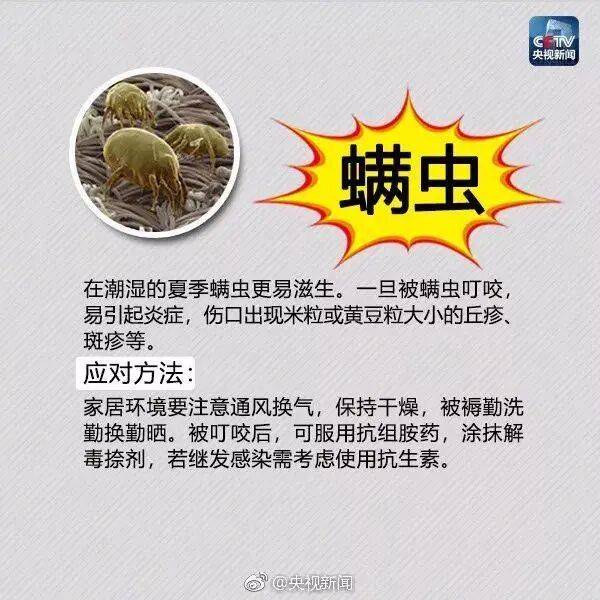 皇冠信用网登3_网友炸锅皇冠信用网登3！广东多个公园、绿化带中出现！深圳疾控紧急提醒：远离这种小土堆