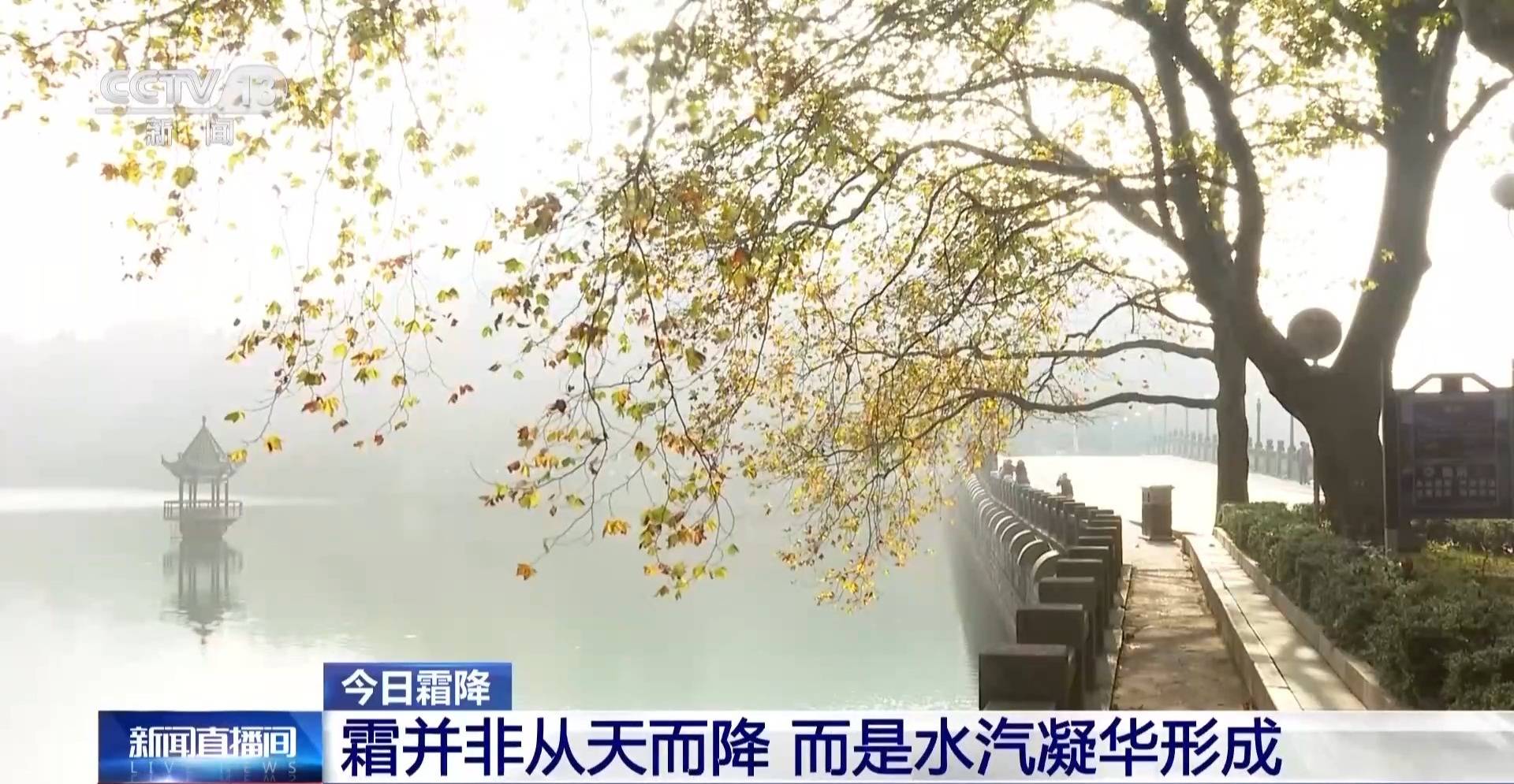 墨西哥超级联赛-特别投注_霜降天一定会降霜吗墨西哥超级联赛-特别投注？霜降≠降霜