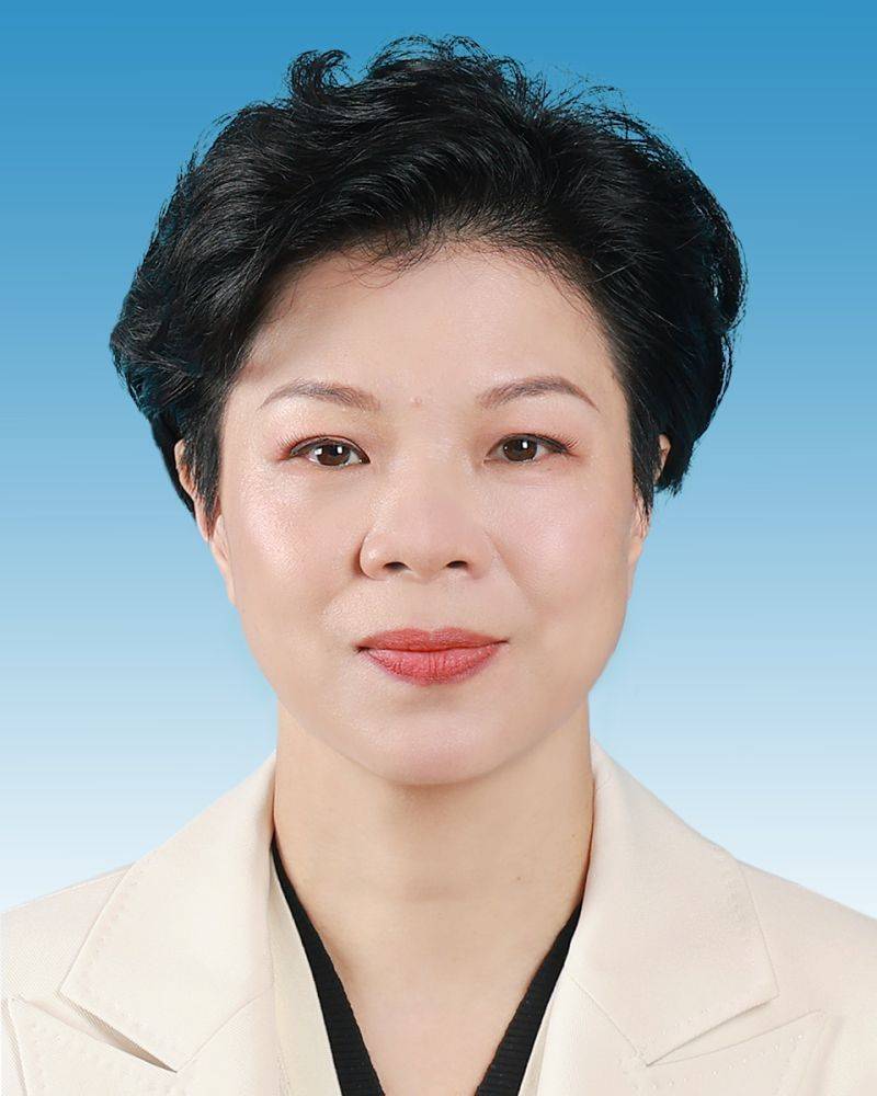 巴西乙组联赛_新一届新疆维吾尔自治区党委常委简历